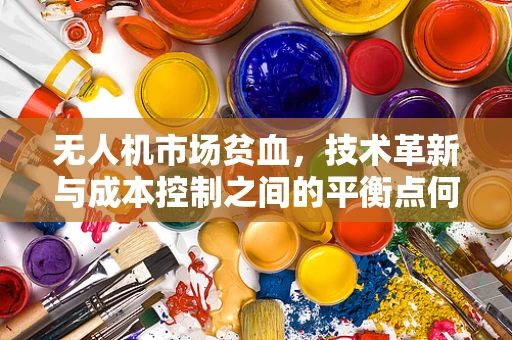 无人机市场贫血，技术革新与成本控制之间的平衡点何在？