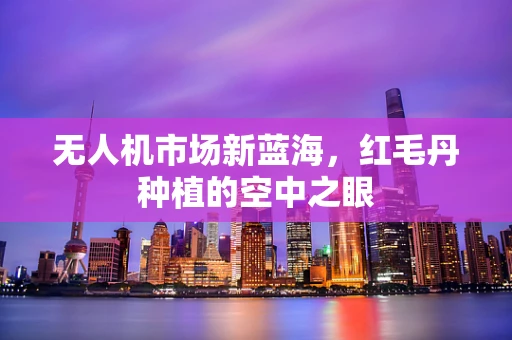 无人机市场新蓝海，红毛丹种植的空中之眼