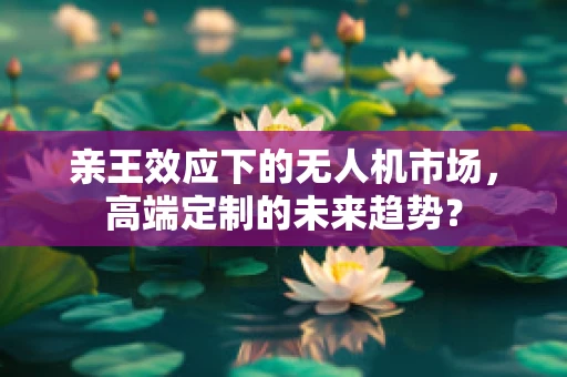 亲王效应下的无人机市场，高端定制的未来趋势？