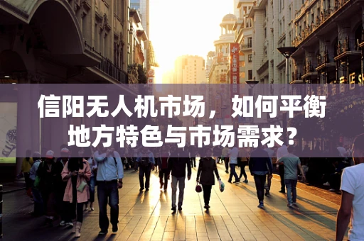 信阳无人机市场，如何平衡地方特色与市场需求？