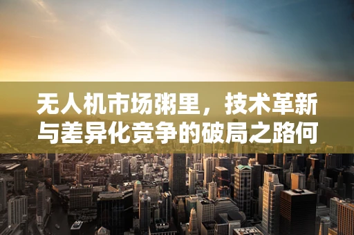 无人机市场粥里，技术革新与差异化竞争的破局之路何在？