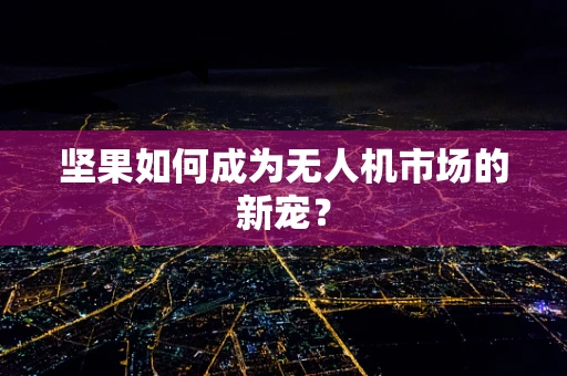 坚果如何成为无人机市场的新宠？