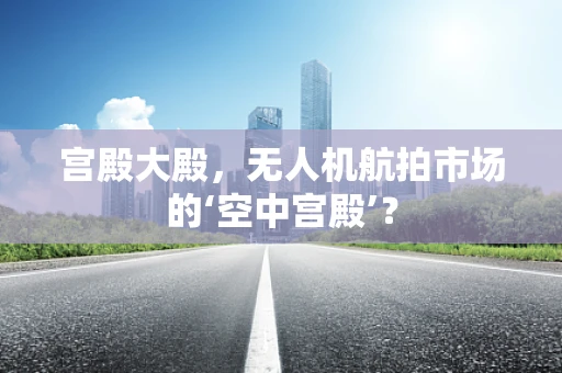 宫殿大殿，无人机航拍市场的‘空中宫殿’？