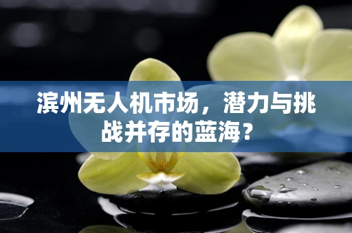 滨州无人机市场，潜力与挑战并存的蓝海？