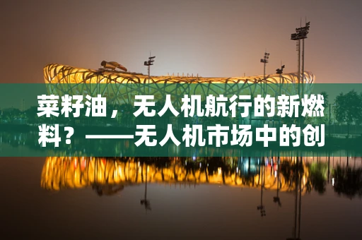 菜籽油，无人机航行的新燃料？——无人机市场中的创新能源探索
