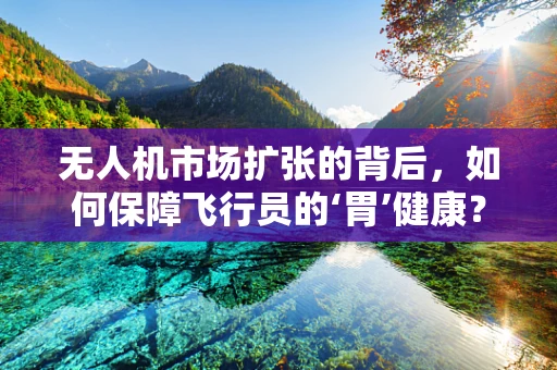 无人机市场扩张的背后，如何保障飞行员的‘胃’健康？