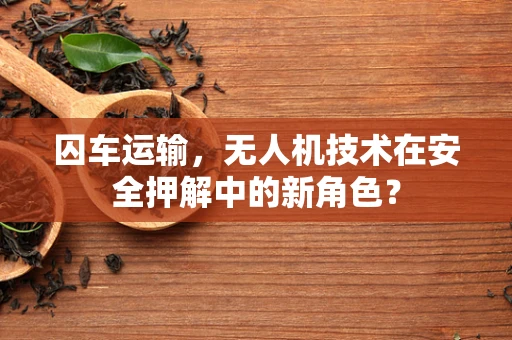囚车运输，无人机技术在安全押解中的新角色？