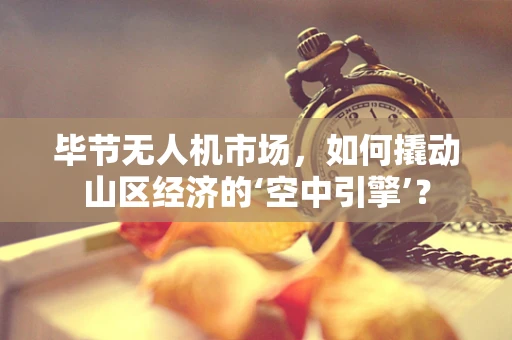 毕节无人机市场，如何撬动山区经济的‘空中引擎’？