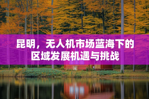 昆明，无人机市场蓝海下的区域发展机遇与挑战