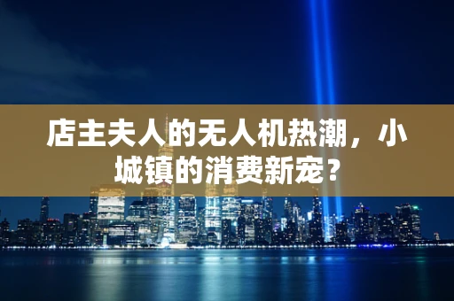 店主夫人的无人机热潮，小城镇的消费新宠？