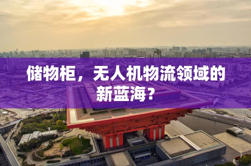 储物柜，无人机物流领域的新蓝海？