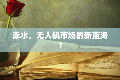 赤水，无人机市场的新蓝海？