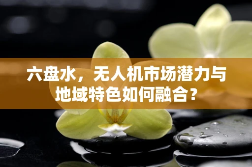 六盘水，无人机市场潜力与地域特色如何融合？