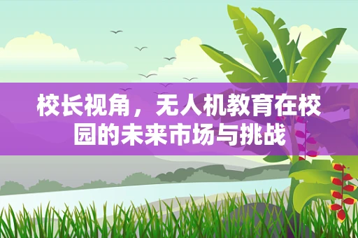校长视角，无人机教育在校园的未来市场与挑战