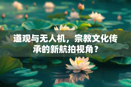 道观与无人机，宗教文化传承的新航拍视角？