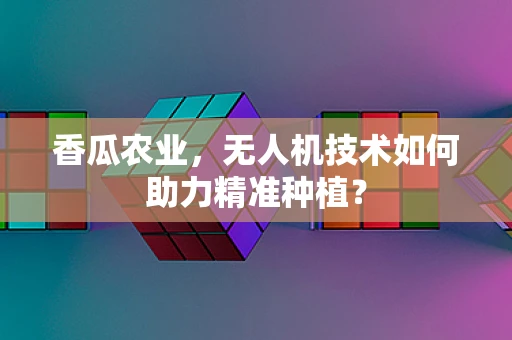 香瓜农业，无人机技术如何助力精准种植？