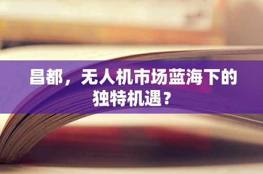 昌都，无人机市场蓝海下的独特机遇？