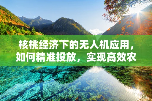 核桃经济下的无人机应用，如何精准投放，实现高效农业新篇章？