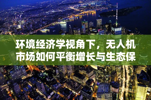 环境经济学视角下，无人机市场如何平衡增长与生态保护？