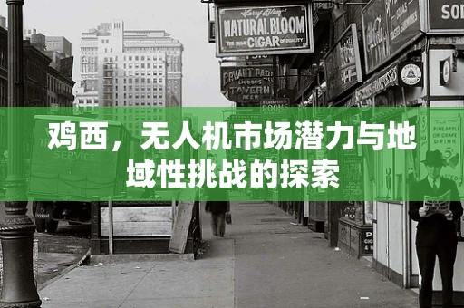 鸡西，无人机市场潜力与地域性挑战的探索