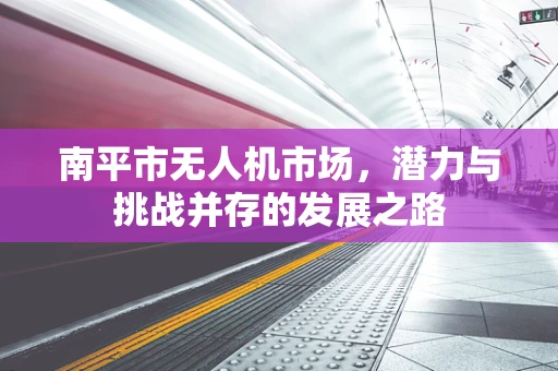 南平市无人机市场，潜力与挑战并存的发展之路