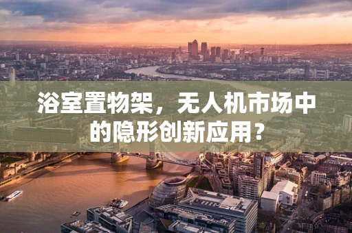 浴室置物架，无人机市场中的隐形创新应用？