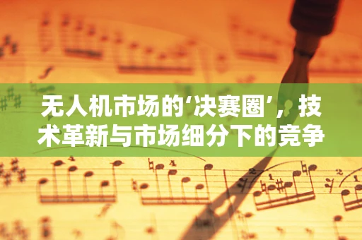 无人机市场的‘决赛圈’，技术革新与市场细分下的竞争格局