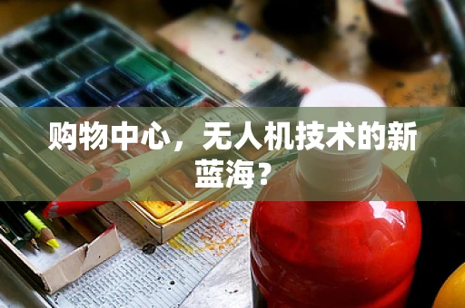 购物中心，无人机技术的新蓝海？