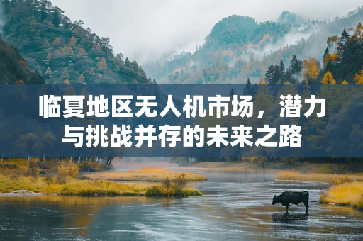 临夏地区无人机市场，潜力与挑战并存的未来之路