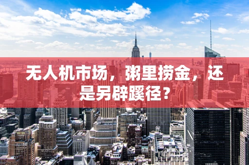 无人机市场，粥里捞金，还是另辟蹊径？