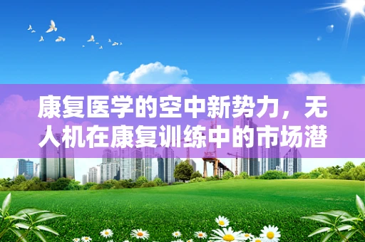 康复医学的空中新势力，无人机在康复训练中的市场潜力与挑战