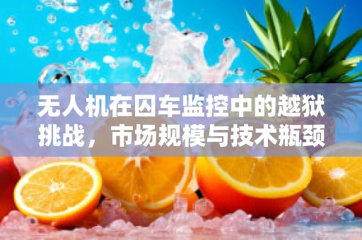 无人机在囚车监控中的越狱挑战，市场规模与技术瓶颈何解？