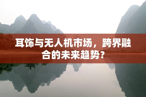 耳饰与无人机市场，跨界融合的未来趋势？