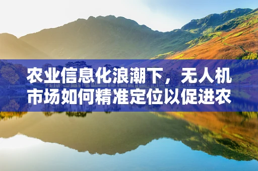 农业信息化浪潮下，无人机市场如何精准定位以促进农业高效发展？