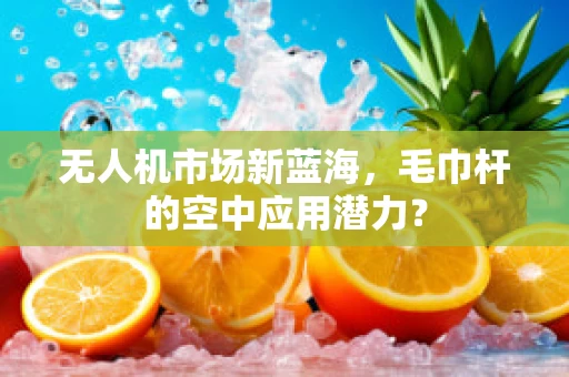 无人机市场新蓝海，毛巾杆的空中应用潜力？