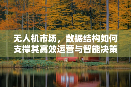 无人机市场，数据结构如何支撑其高效运营与智能决策？