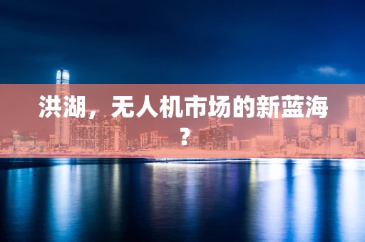 洪湖，无人机市场的新蓝海？