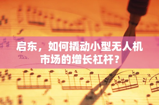 启东，如何撬动小型无人机市场的增长杠杆？