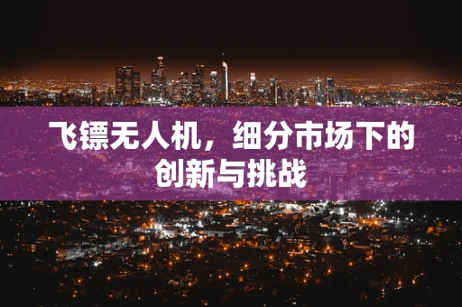飞镖无人机，细分市场下的创新与挑战