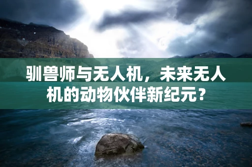 驯兽师与无人机，未来无人机的动物伙伴新纪元？