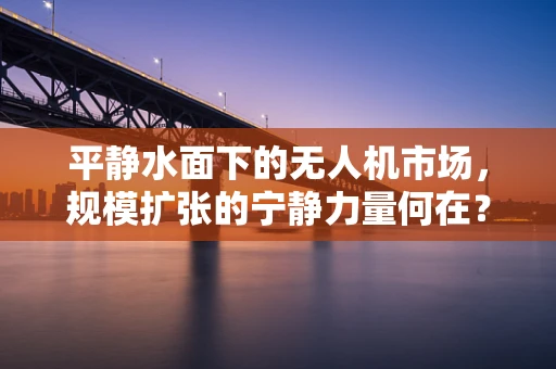平静水面下的无人机市场，规模扩张的宁静力量何在？