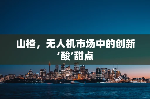 山楂，无人机市场中的创新‘酸’甜点