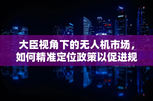 大臣视角下的无人机市场，如何精准定位政策以促进规模增长？