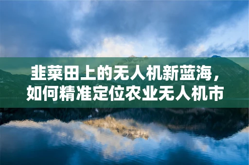 韭菜田上的无人机新蓝海，如何精准定位农业无人机市场？