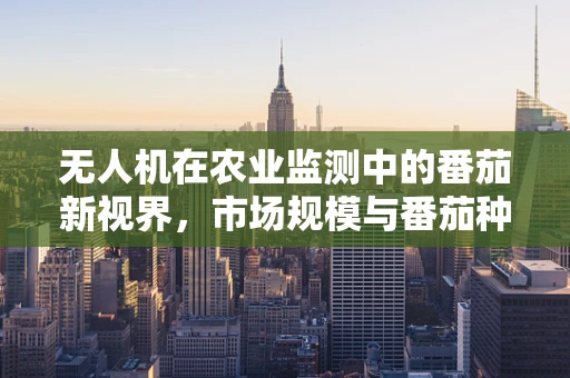 无人机在农业监测中的番茄新视界，市场规模与番茄种植的完美结合