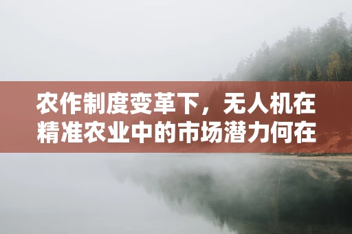 农作制度变革下，无人机在精准农业中的市场潜力何在？