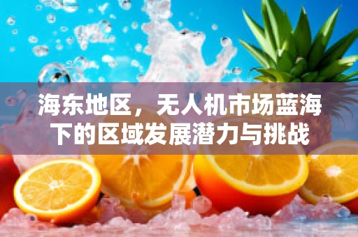 海东地区，无人机市场蓝海下的区域发展潜力与挑战