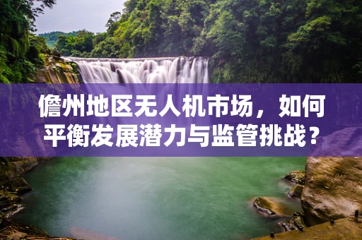 儋州地区无人机市场，如何平衡发展潜力与监管挑战？