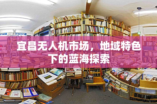 宜昌无人机市场，地域特色下的蓝海探索