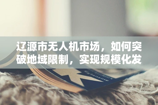 辽源市无人机市场，如何突破地域限制，实现规模化发展？